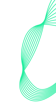 Decorative Line Right